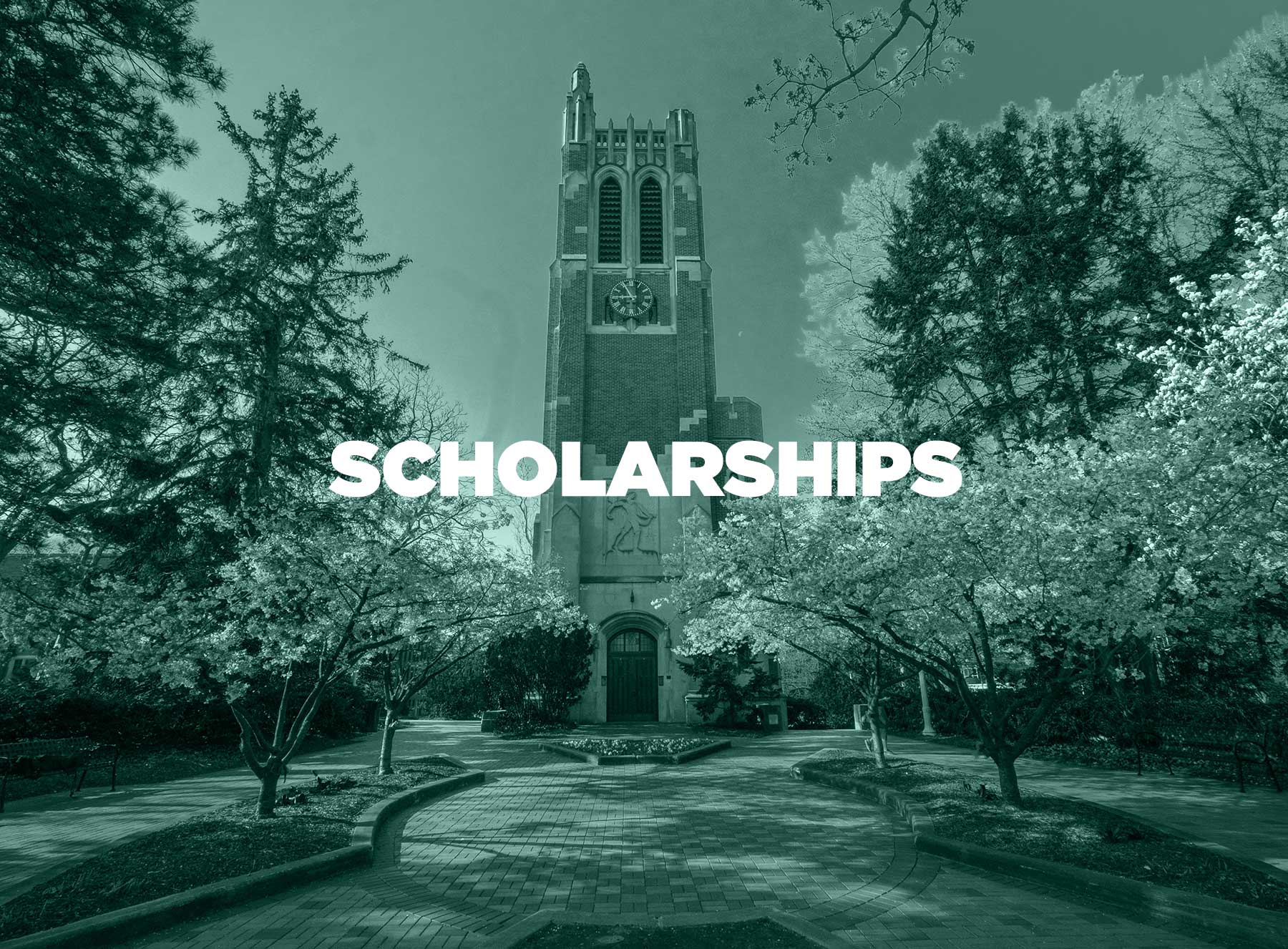 Scholarships Michigan State University